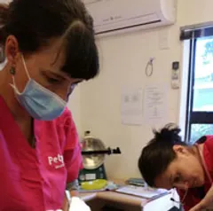 Advanced Surgical Procedures